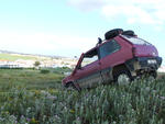 DSCF3162