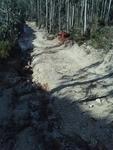 PICT0075