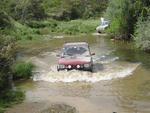 IMG_1942__Custom_[1]