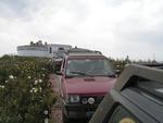 PICT2394[1]
