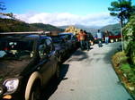 Pandas S. Estrela 23-1-08 005