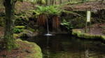 SAM_0060