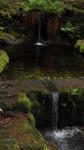 SAM_0061