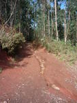 Passeio 19-12-2009 007