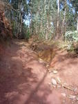 Passeio 19-12-2009 009