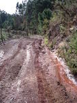 Passeio 19-12-2009 010