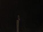 DSC00323.JPG