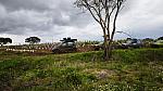 bmps2003 (139)