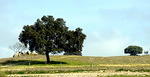 P1050552