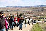 IMG 1749