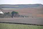 IMG 3086