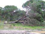 DSCF1249.JPG