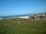 DSCN1107.JPG
