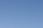 13428-20100906