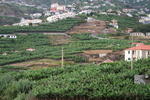 IMG_8299.JPG