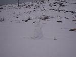 DSCN0418.JPG