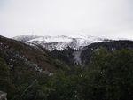 DSCN0420.JPG