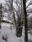 DSCN0428.JPG