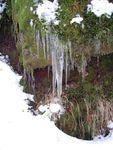 DSCN0433.JPG