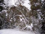 DSCN0446.JPG
